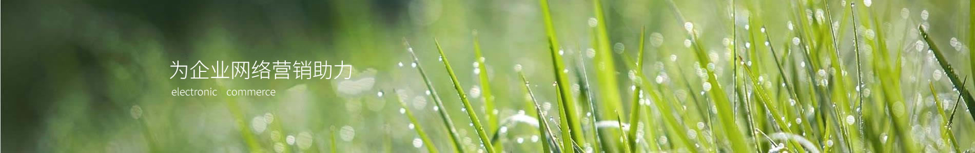 ٷũҵƼչ޹˾